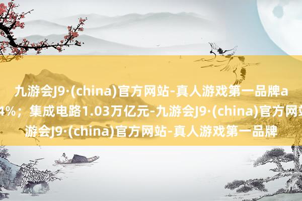 九游会J9·(china)官方网站-真人游戏第一品牌aj九游会官网增长11.4%；集成电路1.03万亿元-九游会J9·(china)官方网站-真人游戏第一品牌