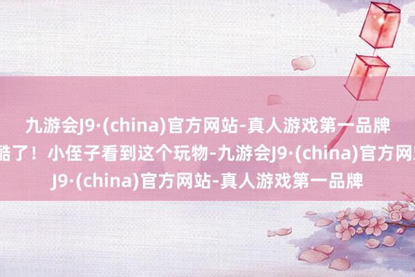 九游会J9·(china)官方网站-真人游戏第一品牌aj九游会官网这也太酷了！小侄子看到这个玩物-九游会J9·(china)官方网站-真人游戏第一品牌